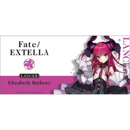Fate/Extra Mug