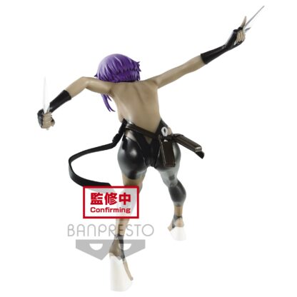 Fate / Grand Order - Hassan of the Serenity figure