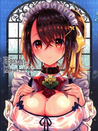 Original - Amemeikan's captive maid, K18 Doujin