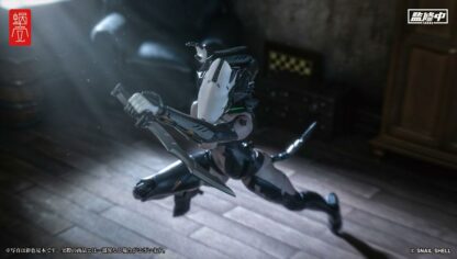ASSASSIN - Assassin Action Figure figuuri