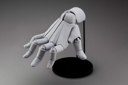 Artist Support Item Hand Model/R Gray