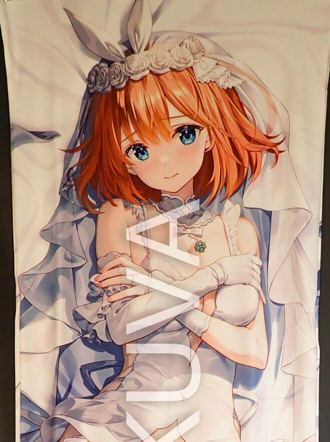 Dakimakura akihabara hotsell