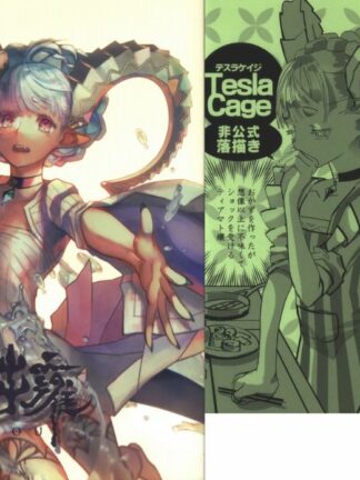 Fate/Grand Order - Tesla Cage Comiket 102 Issue Set Doujin