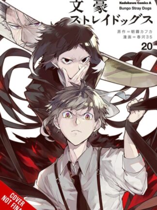 EN - Bungo Stray Dogs Manga vol 20