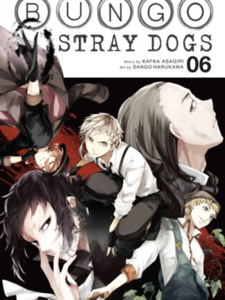 EN – Bungo Stray Dogs Manga vol 6