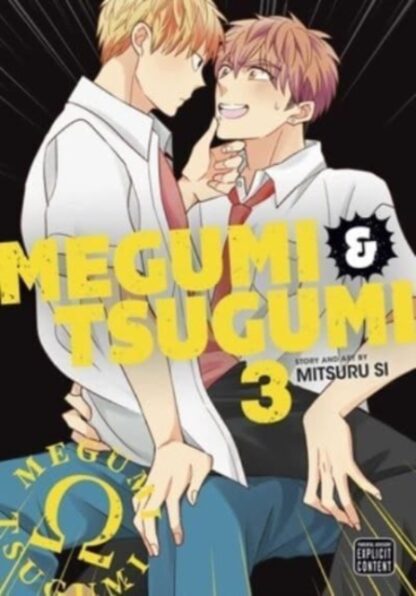 EN - Megumi & Tsugumi Manga vol 3