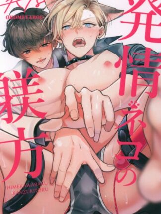 Original - Hatsujou Neko no Shitsukekata K18 Doujin